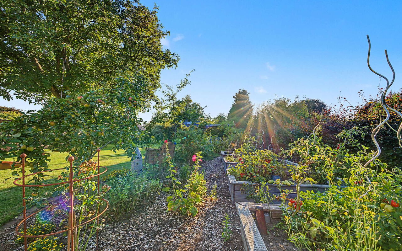 Garten